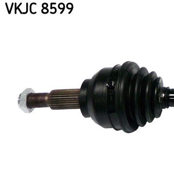 VKJC 8599_2.JPG