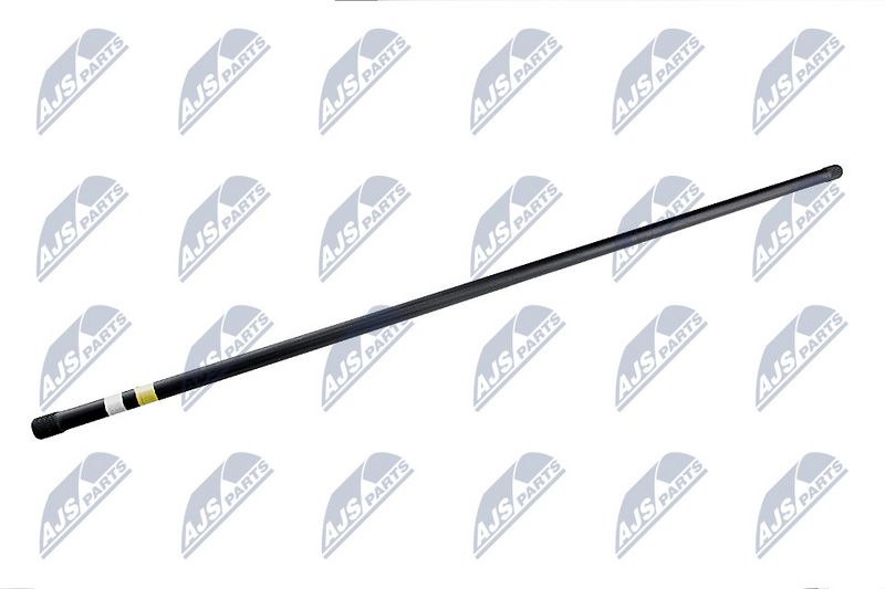 NTY ZWT-CT-015 - Torsioninio veleno smeigė / varžtas