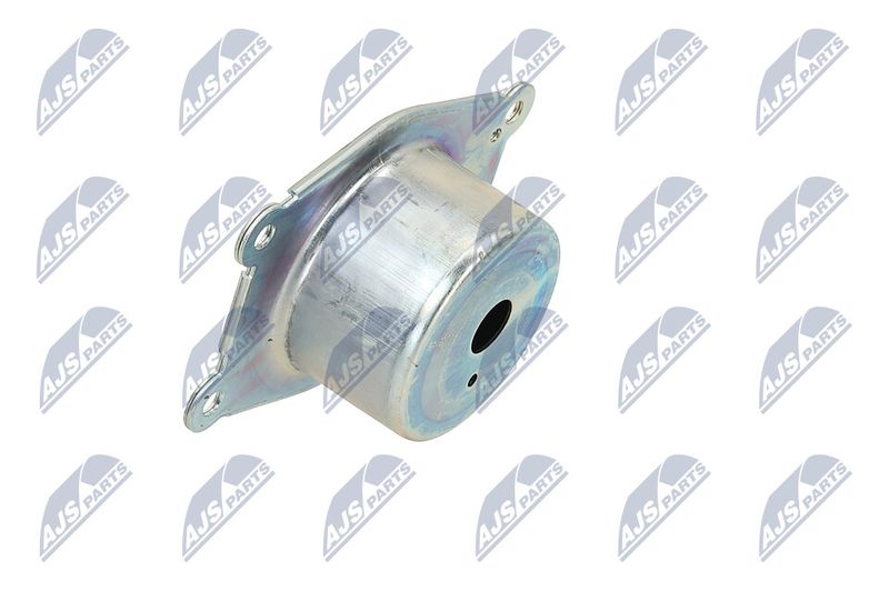 Paigutus, Mootor, NTY ZPS-PL-044
