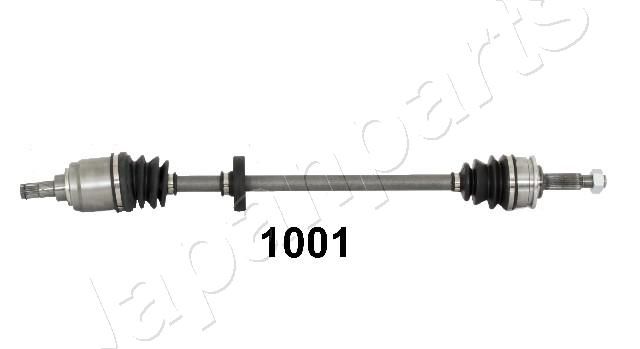 GI-1001_1.JPG