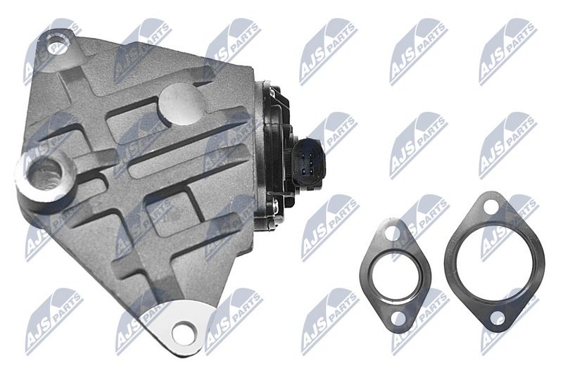 EGR-klapp, NTY EGR-AU-011