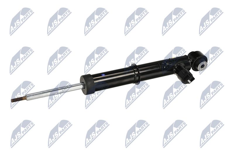 Amort, NTY A-LR-034