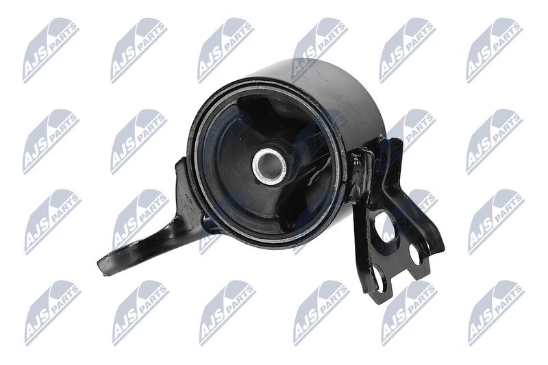 Paigutus, Mootor, NTY ZPS-CH-179