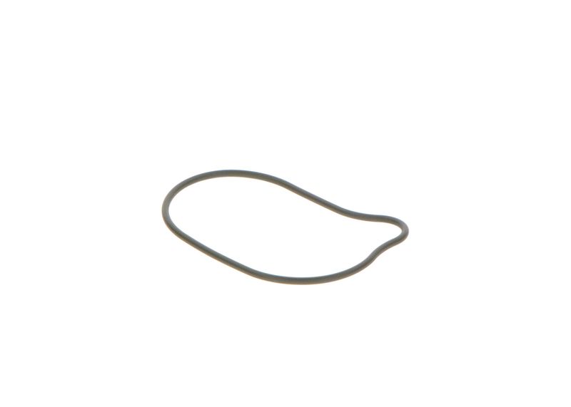 BOSCH 2440210028 Rubber Ring
