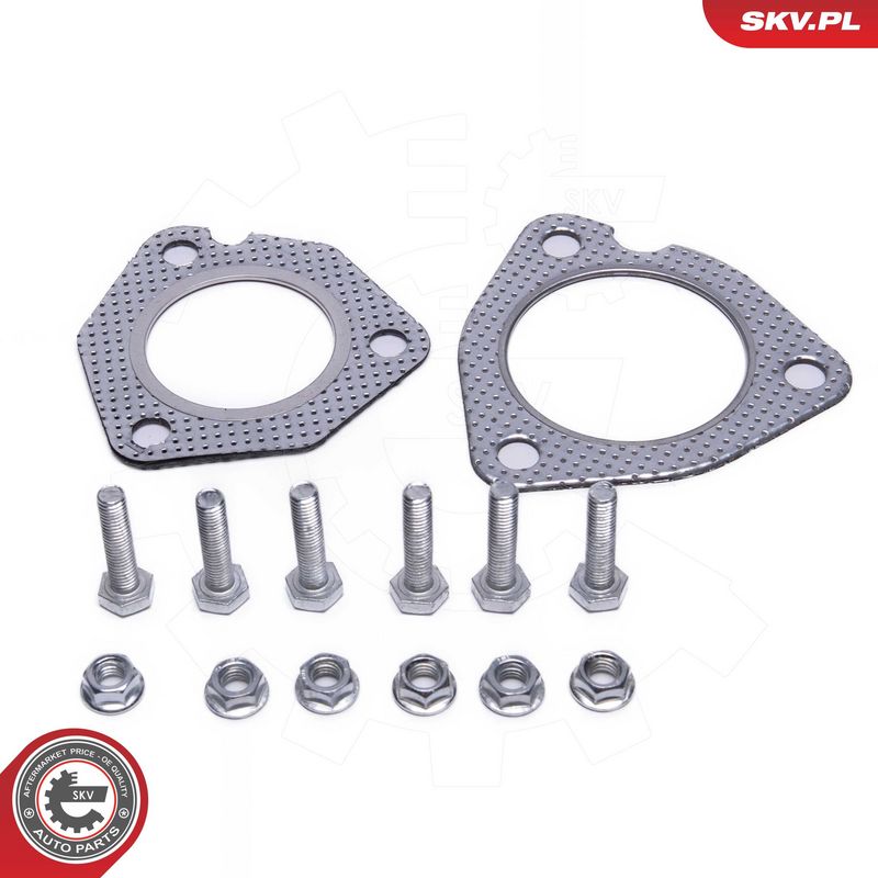 ESEN SKV 62SKV019 Catalytic Converter
