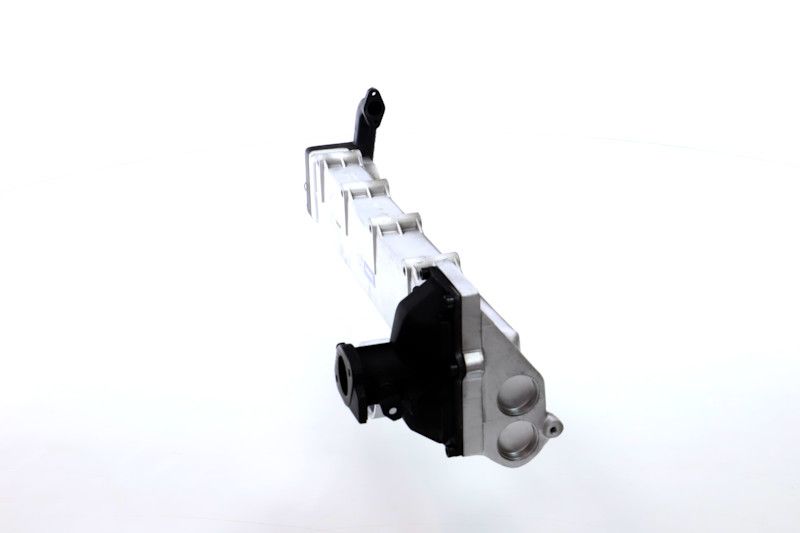 REMANTE 010-001-000002R EGR Module