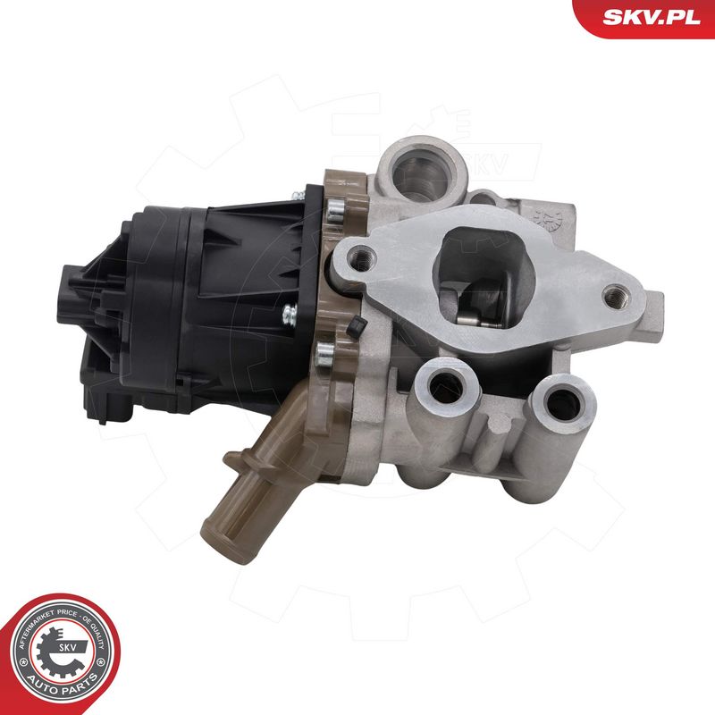 EGR-klapp, ESEN SKV 14SKV301