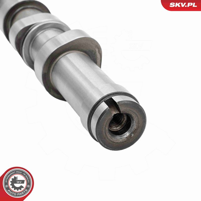 ESEN SKV 80SKV300 Camshaft Kit