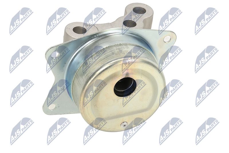 Paigutus, Mootor, NTY ZPS-PL-049