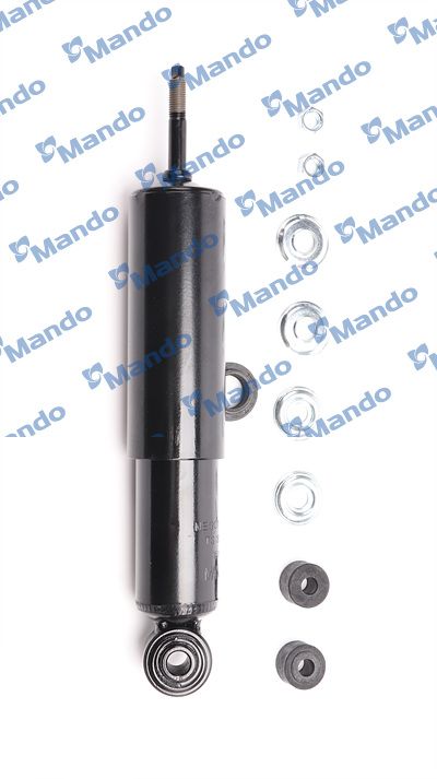 MSS015350(2).JPG