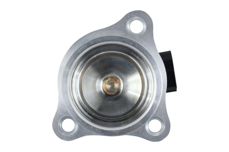 EGR-klapp, HELLA 6NU 010 171-551