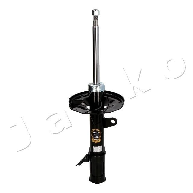 MJ22093_1.JPG