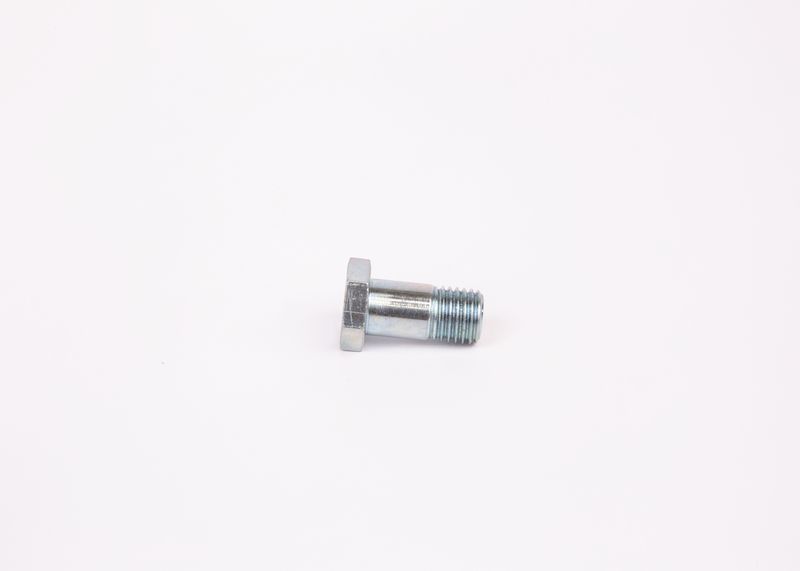 Surub 1 463 456 344 BOSCH