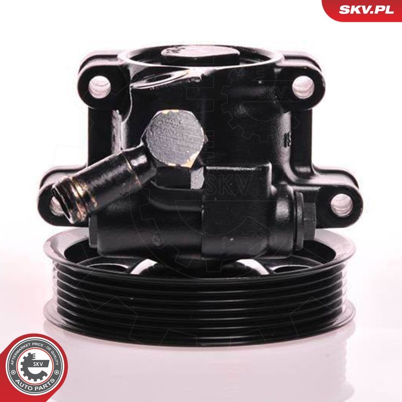 Hüdraulikapump, roolimine, ESEN SKV 10SKV019