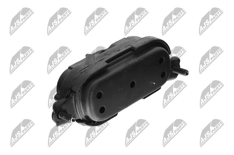 Paigutus, Mootor, NTY ZPS-CH-115