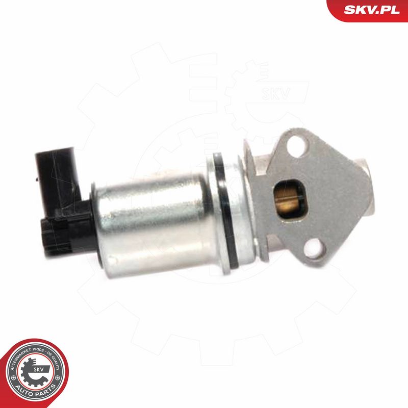 ESEN SKV 14SKV016 EGR Valve