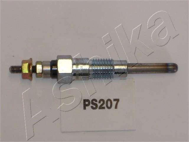 PS207_1.JPG