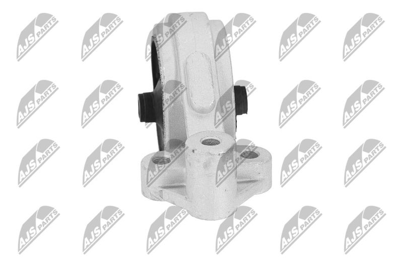 Paigutus, Mootor, NTY ZPS-KA-312