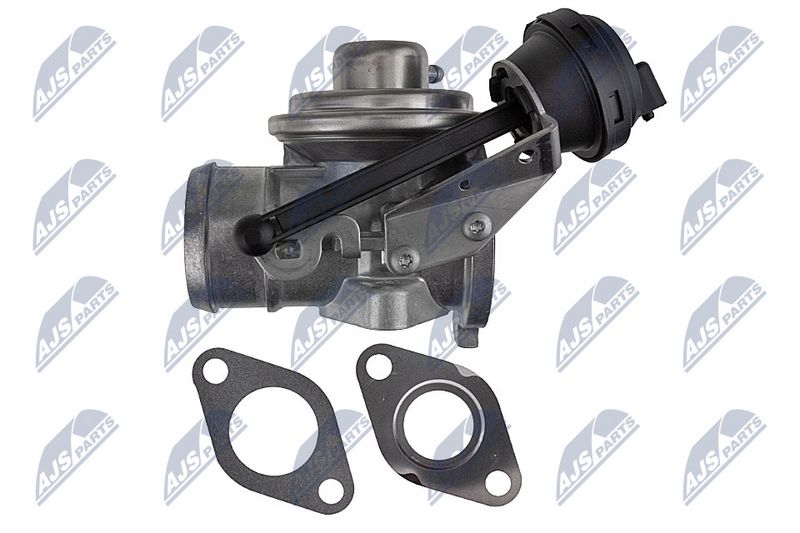 EGR-klapp, NTY EGR-WW-031