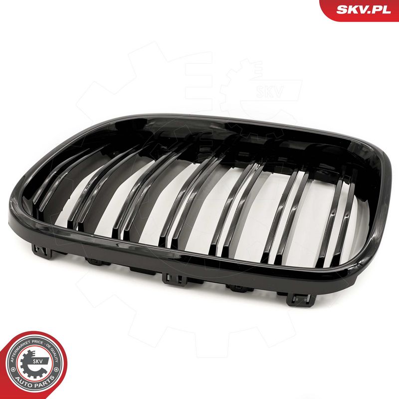 Radiaatorivõre, ESEN SKV 66SKV252