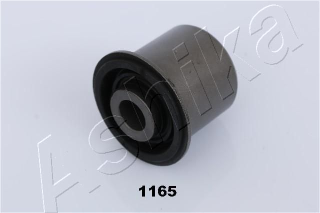 GOM-1165_1.JPG