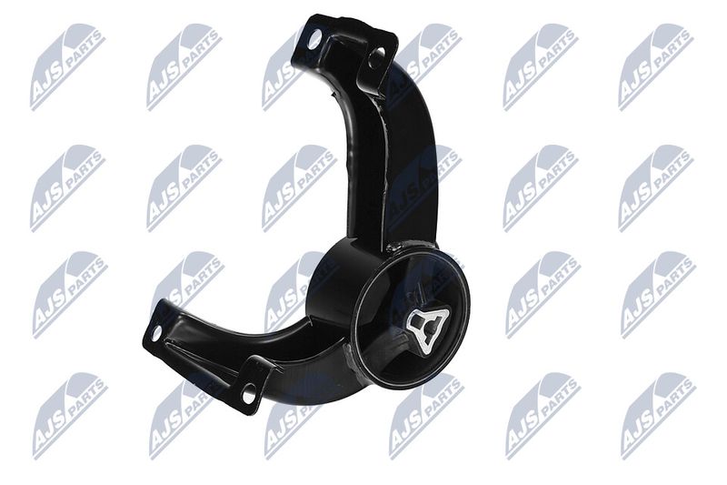 Paigutus, Mootor, NTY ZPS-CH-169