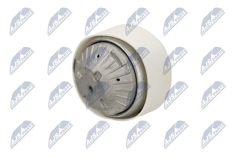 Paigutus, Mootor, NTY ZPS-ME-109