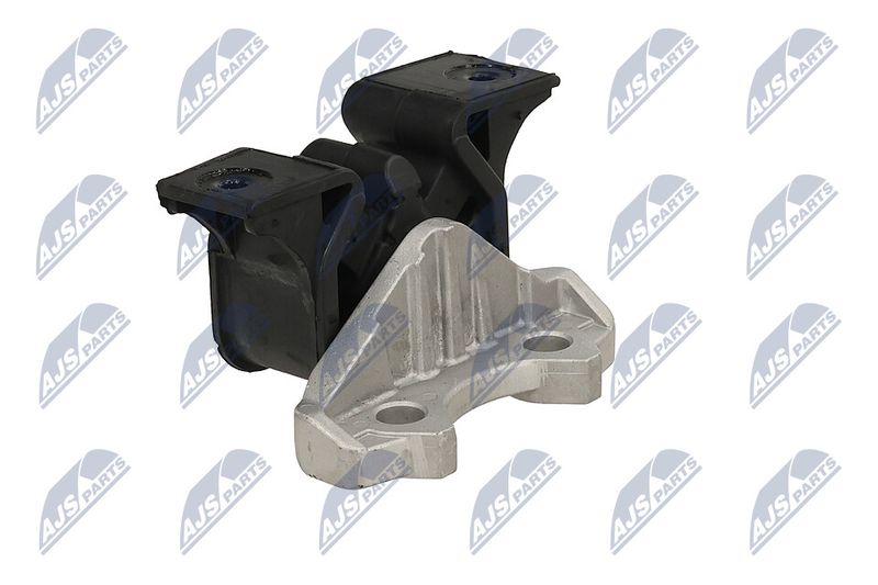 Paigutus, Mootor, NTY ZPS-PL-055