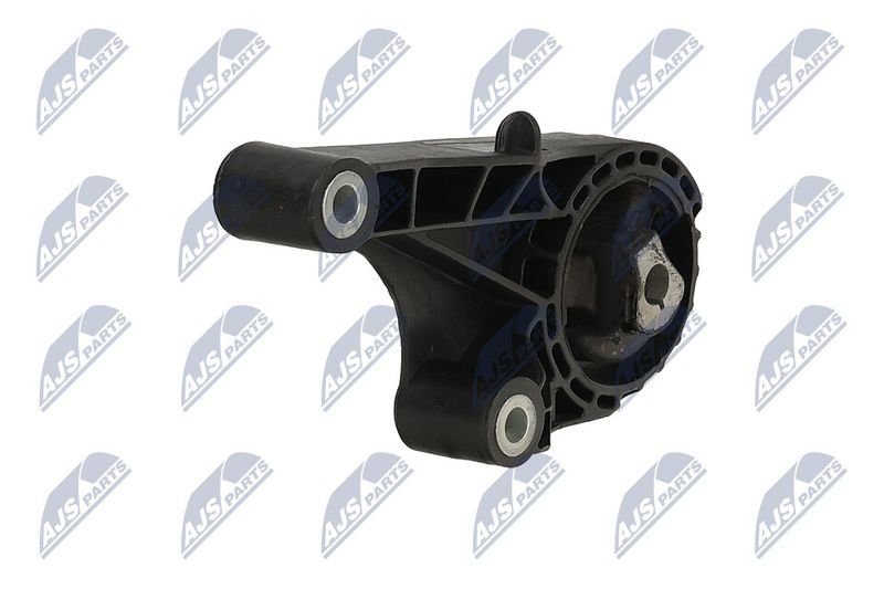 Paigutus, Mootor, NTY ZPS-PL-090