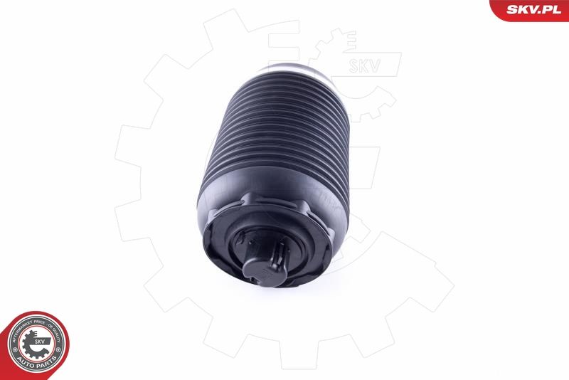 ESEN SKV 58SKV030 Air Spring, suspension