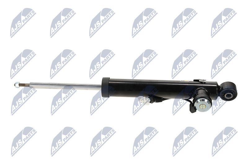 Amort, NTY A-PL-066