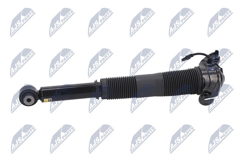 Amort, NTY A-LR-022