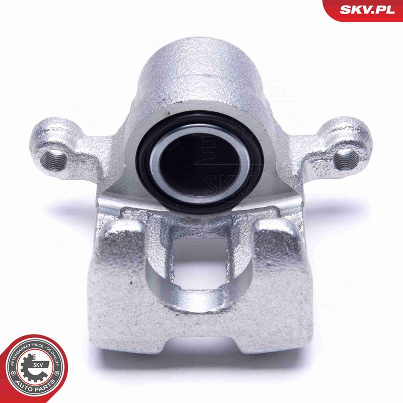 ESEN SKV 55SKV484 Brake Caliper
