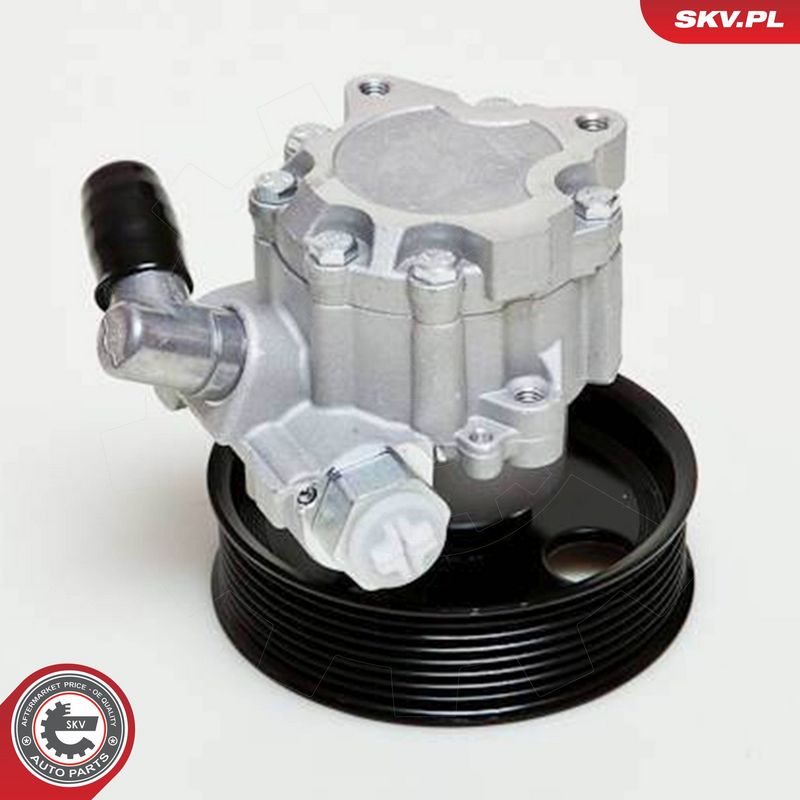 ESEN SKV 10SKV039 Hydraulic Pump, steering