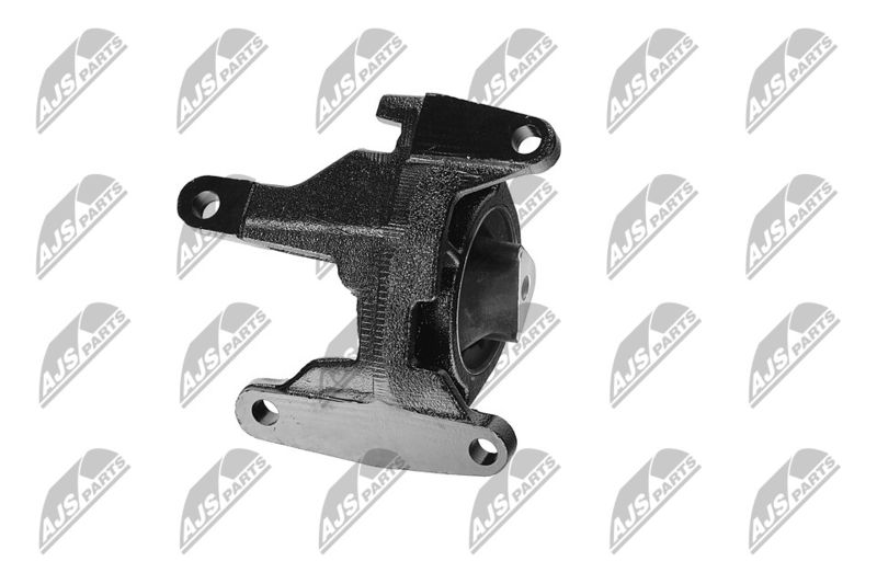 Paigutus, Mootor, NTY ZPS-CH-087