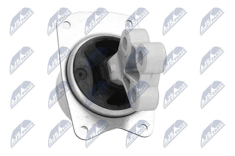 Paigutus, Mootor, NTY ZPS-PL-025