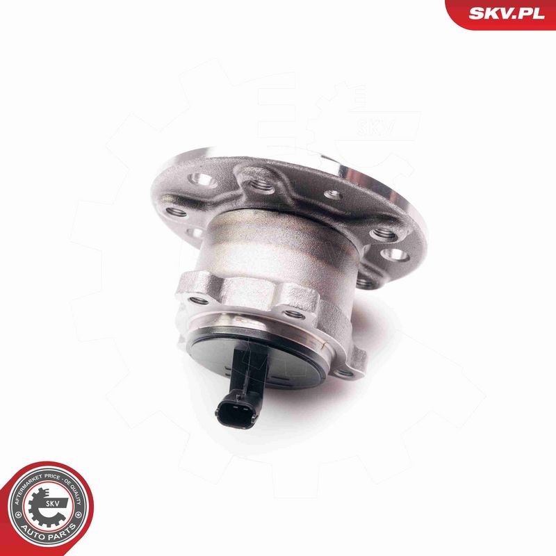 ESEN SKV 29SKV023 Wheel Bearing Kit