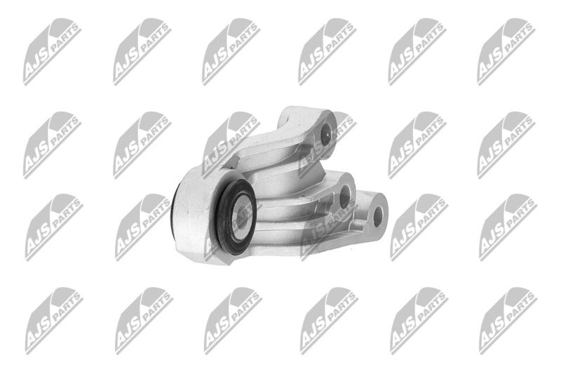 Paigutus, Mootor, NTY ZPS-CH-120