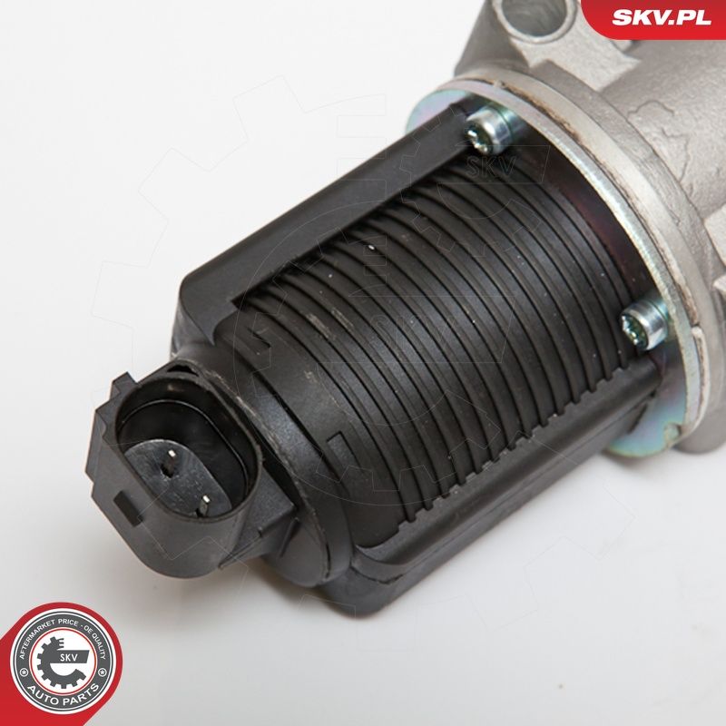 EGR-klapp, ESEN SKV 14SKV076