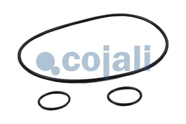Opravná sada spojkového posilovače 6034028