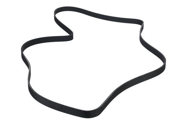 STELLOX 09-41562-SX V-ribbed Belt