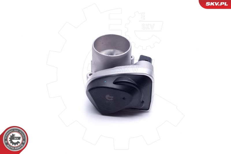 ESEN SKV 12SKV103 Throttle Body