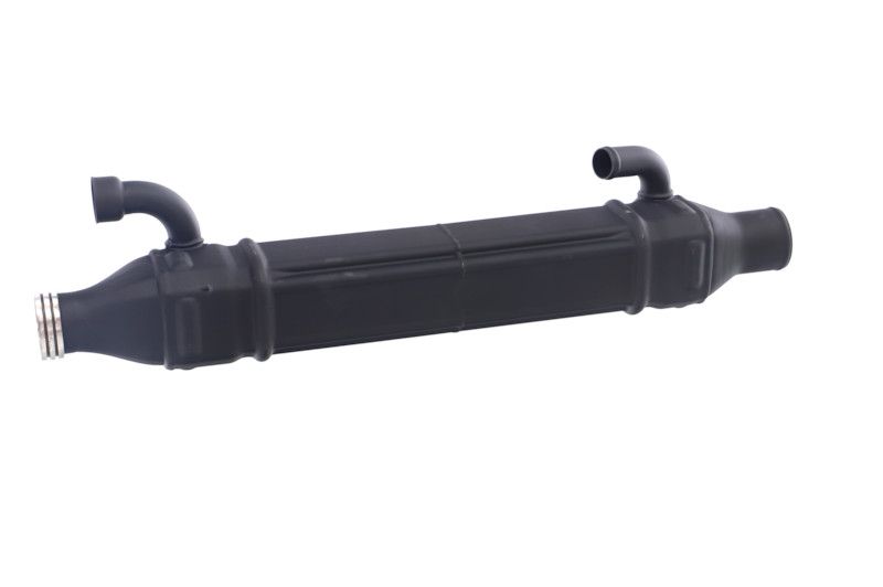 REMANTE 010-001-000022R EGR Module