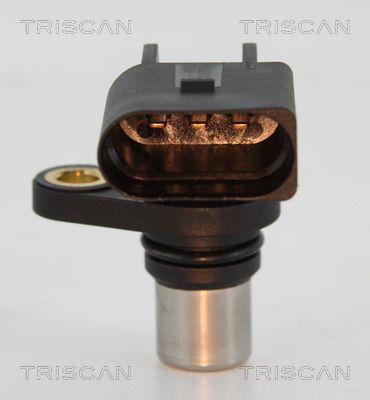 TRIS885510131_2.JPG