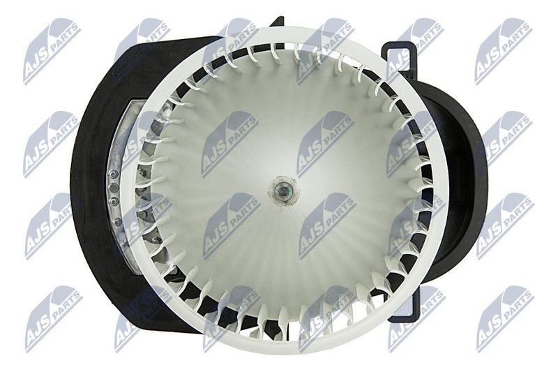 Salongipuhur, NTY EWN-WW-009