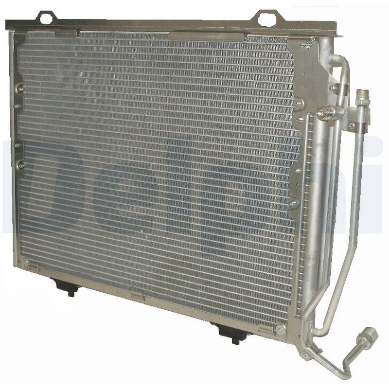TSP0225327.JPG