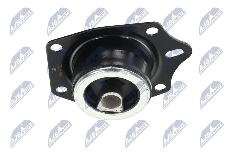 Paigutus, Mootor, NTY ZPS-CH-014