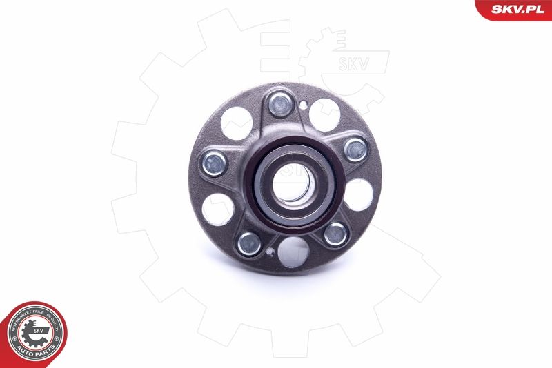 ESEN SKV 29SKV218 Wheel Bearing Kit