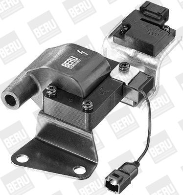 BorgWarner (BERU) ZSE010 Ignition Coil