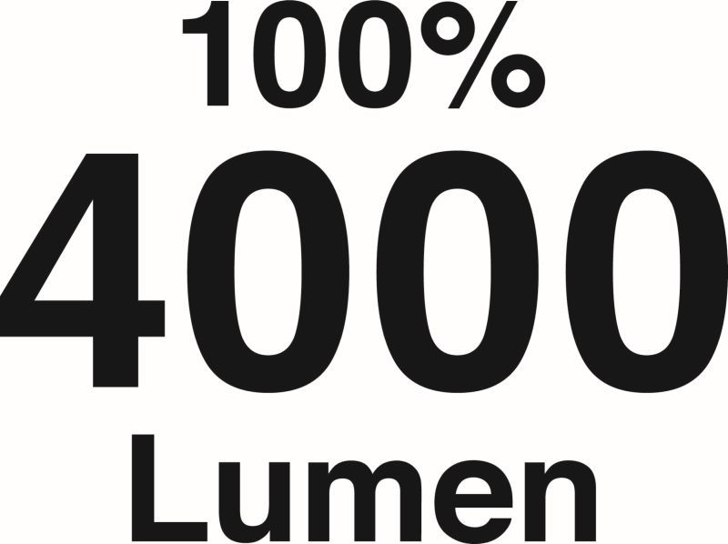 480800806.JPG
